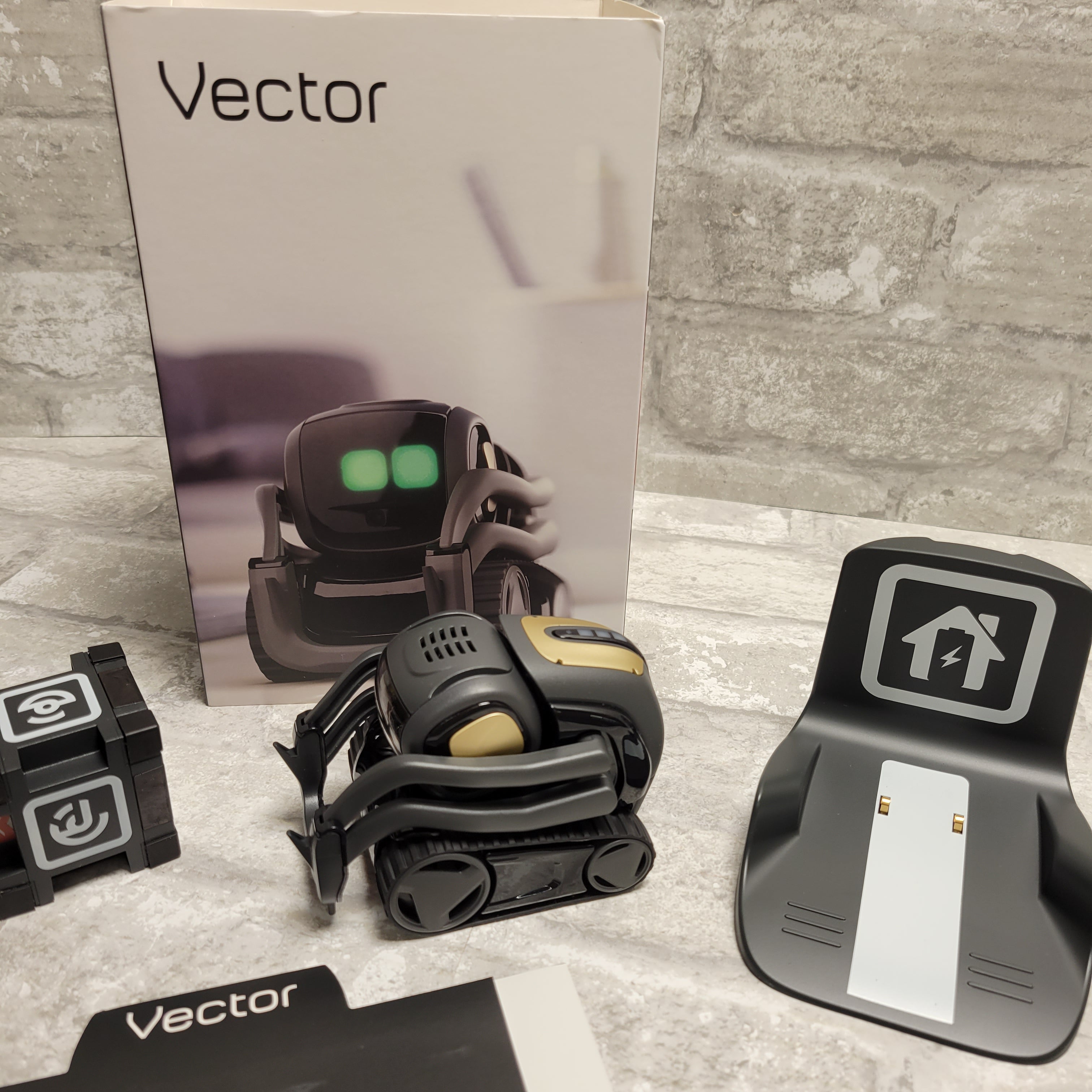 Anki vector best sale base kit