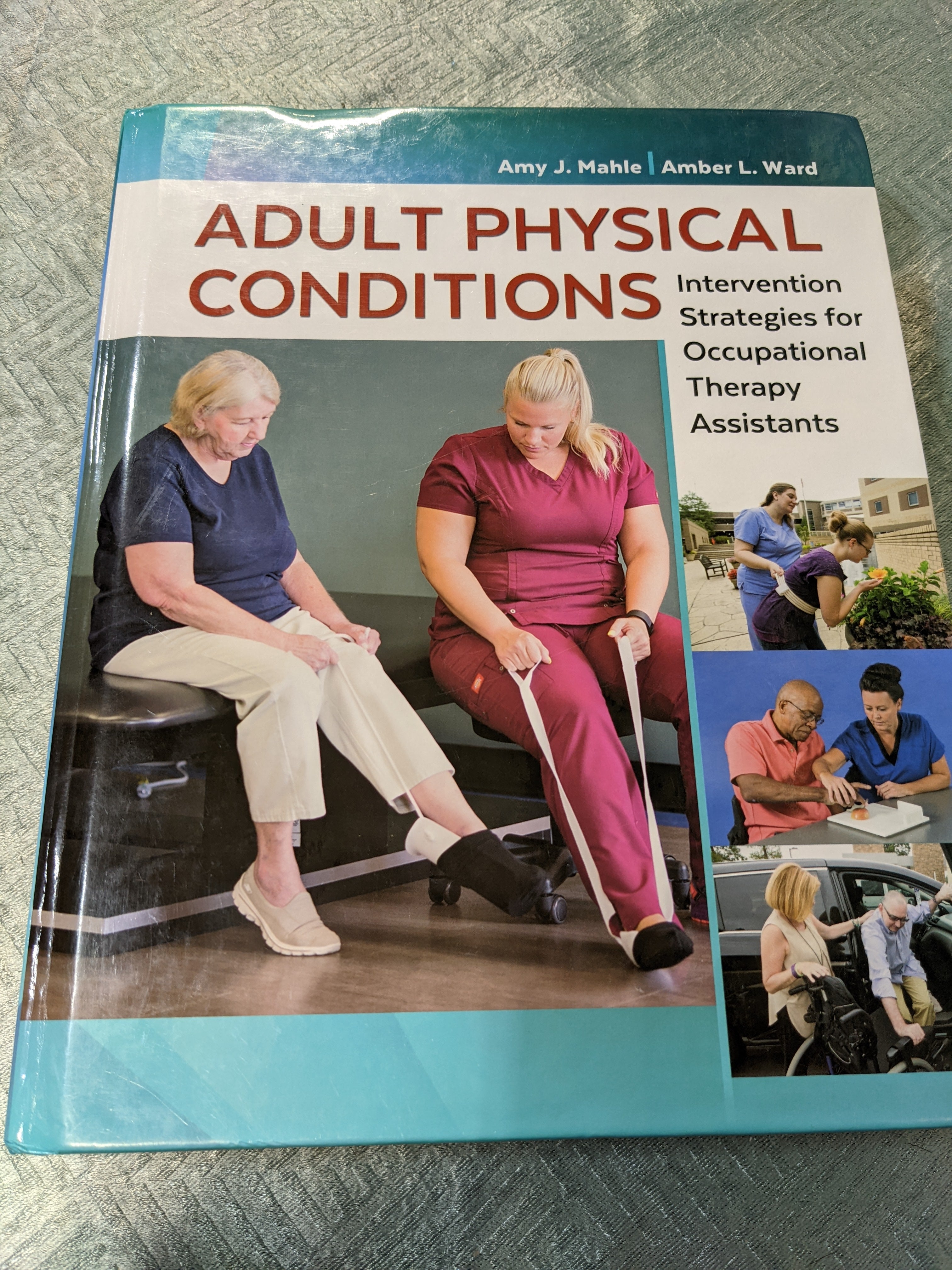 Adult Physical Conditions: Intervention Strategies for Occupational Therapy Assistants (7579853717742)