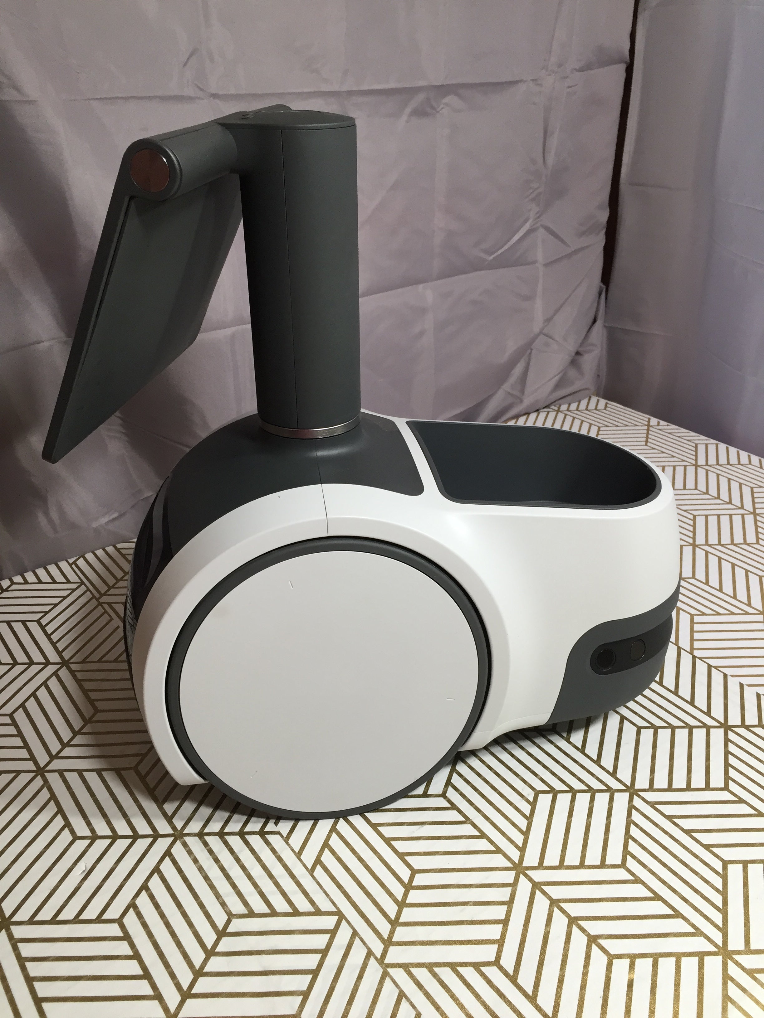  Astro, Household robot for home monitoring